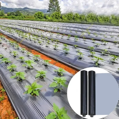 ANIL Mulching Film 25 Micron 4 Ft x 400 Meters | Farm Weed Control | UV Protected & Retains Moisture