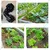 40Mm Two Cap Plastic 90 Degree Union Elbow Quick Connector High Pressure Resistance Irrigation Watering Fittings (Pack Of 5)