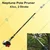 Neptune 43 cc 2 stroke Non-Telescopic Pole Pruner With 12 inch Guide Bar