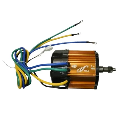 Premium Quality CY GOLD 48V 1000W Copper Winding High Torque BLDC E-Rickshaw Loader Motor