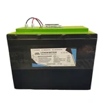 Premium Quality 48V 60Ah LFP Lithium Battery Pack, 15S High-Performance Storage for Electric Vehicles & Solar, 30A Charge
