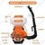 Neptune MBD-40, 2 In 1 Knapsack Power Duster, Mist Blower, Fogger with 4 Stroke Advanced Technology 31.5CC Petrol Engine