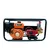 Ralli HTP-30 Sprayer Pump Set With 6.5 HP Petrol Engine | RS65-30