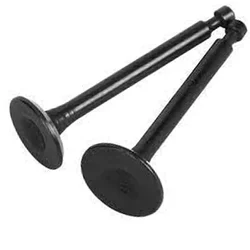 High quality 4 Stroke Valve Set of 139 F Engine for HTP Sprayer Pump (Pack of 2 Pcs)