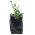 High Quality 51 micron UV Protected 4 inch x 6 inch Round Shape Black Grow Bag | Suitable for Gardening Purposes
