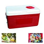 Commercial 50 Litre Insulated Ice Box With Vent Lid