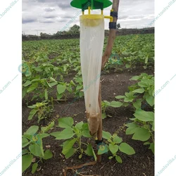 Phero Sensor BP Insect Trap for Agriculture Purposes(Pack-10 Pcs)