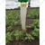 Phero Sensor BP Insect Trap for Agriculture Purposes(Pack-10 Pcs)