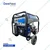 GeeNex 9.5 KVA 500 cc Recoil & Self Start Single Phase Portable Petrol Generator(GH-9500E)