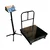 True Weight MS Checkered Platform Scale Weighing Machine, 500kg Capacity (TWP-500) with 1-Year Warranty