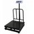 Metis 500kg Load Capacity and 50 g Accuracy Heavy Duty Steel Platform Weighing Machine