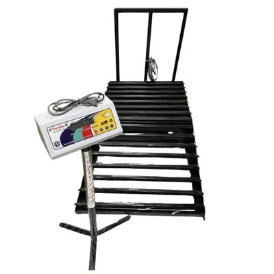 Everfast 500kg Heavy Duty Electronic Roller Scale for Packing Line and Logistics Use with Powder Coated Mild Steel Conveyor