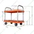 SRP Double Layer 500 Kg Load Capacity With MS Border Plastic Platform Trolley