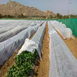 High Quality 3.2 x 400 meter Crop Protection Cover | Ideal for Agricultural and Gardening Purposes(GSM-17)