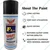 Evershine 500 ml Black Spray Paint Uses On Metal Plastic And Wood