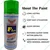 Evershine 500 ml Green Spray Paint uses on Metal, Plastic and Wood