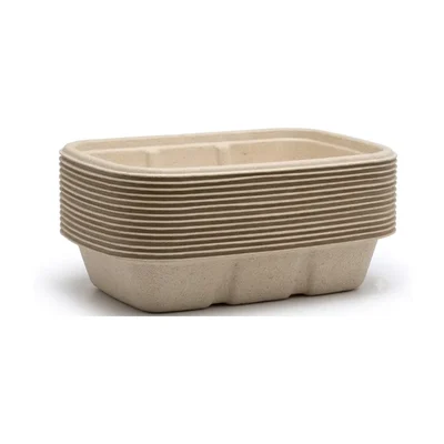 Chuk 500ml Biodegradable Delivery Rectangular Container for Parties, Catering & Family Events(Pack-500 pcs)