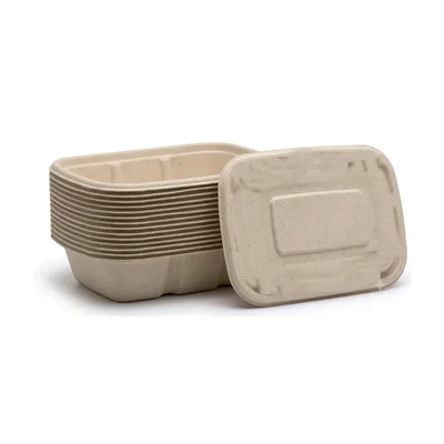 Chuk 500ml Biodegradable Delivery Rectangular Container with Lid for Parties, Catering & Family Events(Pack-500 pcs)