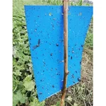 Indo Agritech 500 Pieces of A4 PVC Sheet with Both Side Glue and Release Paper for Agricultural Purpose