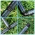 500 Pcs of Drip Irrigation Kit, 1/2 inch Tubing Set Accessories (Tees, Couplings, Elbows, End Cap)