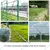 Premium Quality 175 Feet (53 Meter) Galvanized Barbed Wire with Handle, 2mm Wire Thickness