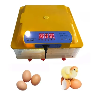 Automatic 56 Eggs Capacity Incubator with Egg Turner Tray