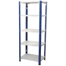 ALIJA 60 x 23 x 15 Inches 5 Shelves Multipurpose Storage Rack With Accessories (22 Gauge Shelf 16 Gauge Angle)