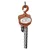 Boltz 2 Ton 6 Meter lift, Chain Pulley Block With 6 meter chain, Single fall, 8 mm load Chain