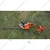 Maxgreen Electric Hedge Trimmer MEHT With 600W 24 Inch With 20 Meter Cable and Socket