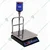 Metis 60 Kg Capacity Iron Bench Scale Weighing Machine With 1 Year Warranty