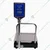 Metis 60 Kg Capacity Iron Bench Scale Weighing Machine With 1 Year Warranty