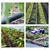 63mm Plastic 90 Degree Union Elbow Quick Connector High Pressure Resistance Irrigation Watering Fittings (Pack Of 5)