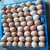 Ndeal Automatic Egg Incubator 64 Eggs Capacity With Egg Turning Tray