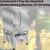 Heavy Duty Stainless Steel 304 Gas Operated 6 Tray Dhokla Making Machine