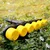 OUTO Garden 6 heads Sprinkler Nozzle with Adjustable Water Pressure Sprayer for Gardening Purpose