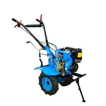 E Agro 4.8 HP 173F Manual Start Diesel Power Tiller D-90 | 4 Stroke Tiller with 42 Inch Rotavator