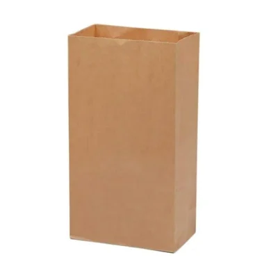 Horeca 6x4x10 Inch Pack of 100 Pcs Food Grade Square Bottom Paper Bags Flat Bottom Organic Craft Carry Bags