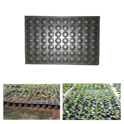 Siddhi 70 Cavities (Round Shape- Big Size) Reusable Plastic Seedling Tray for Nursery and Gardening(Pack-10 Pcs)