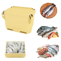 Allwin ARP 70S Insulated 70 Liter Ice Tub/Fish Tub,40 hrs Insulation Support  for Storing Fish, Dairy and Other Pharmaceutical Items