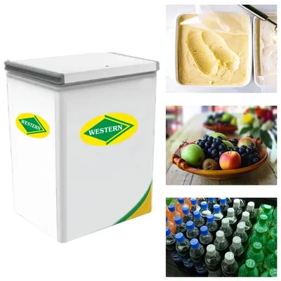 WESTERN D070H161, 72 L Single Door Convertible Deep Freezer/Cooler