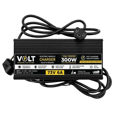 Premium Quality 73V 6A 300W Metal Body Smart LFP Lithium EV Battery Fast Charger