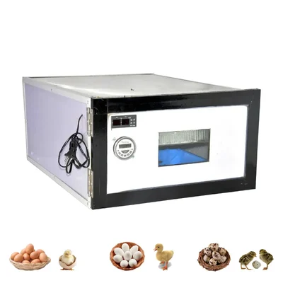 75 Eggs Automatic Incubator For Hatching Eggs, 220V/100Watts