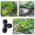 75mm 3 Way Tee Corner PP Compression Pipe Fittings Irrigation for Water Supply (Pack of 2)