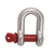 Heavy Duty G80 Alloy Steel 8.5 Ton Screw Pin Type D Shackle For Lifting