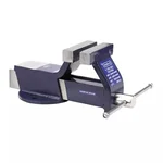De Neers 8 Inch/ 200 mm Fixed Base Bench Vice (BV8ST)