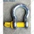 Heavy Duty G80 Alloy Steel 9.5 Ton Screw Pin Type Bow Shackle (Pack of 1)