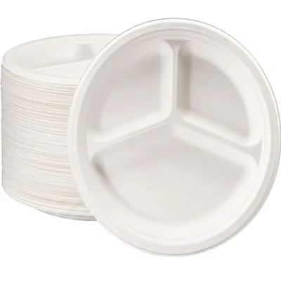 9 Inch 3 CP Bagasse Hot Cold Safe Compostable Disposable Round Plates 500 Pcs