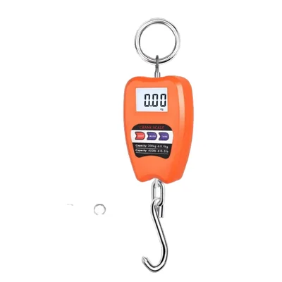 Ace 200 kg Mini Electronic Hanging Crane Scale, 50 gm Accuracy with Green LED