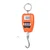 Ace 200 kg Mini Electronic Hanging Crane Scale, 50 gm Accuracy with Green LED
