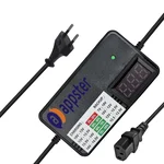 APPSTER 12V DC 2A  Agriculture Sprayer Pump Battery Charger, 220V AC Input for Diaphragm Motor & Solar Zatka Machine